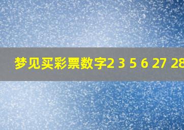 梦见买彩票数字2 3 5 6 27 28